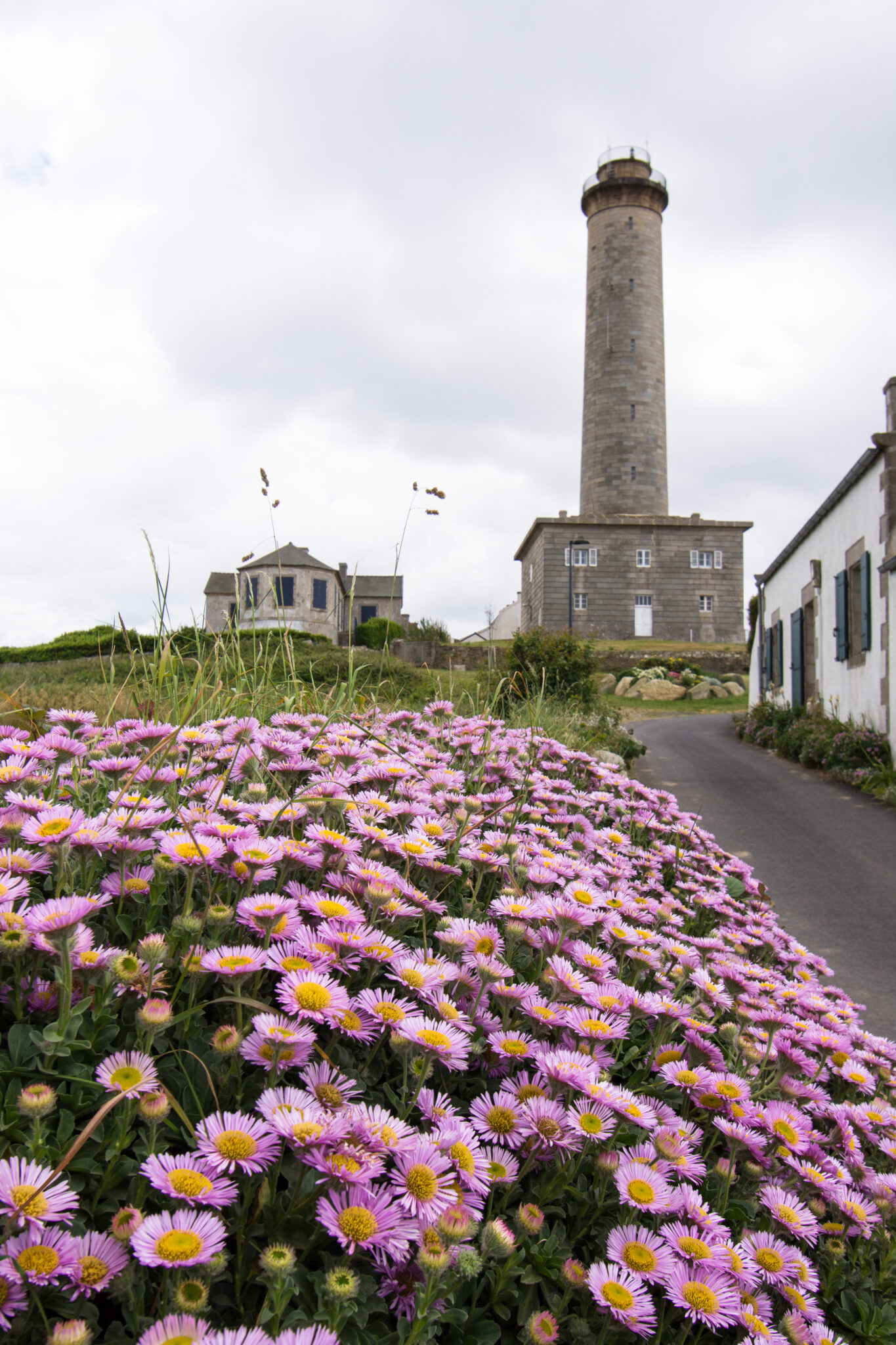 Visiter Roscoff En Bretagne Avec Excursion Sur L Le De Batz