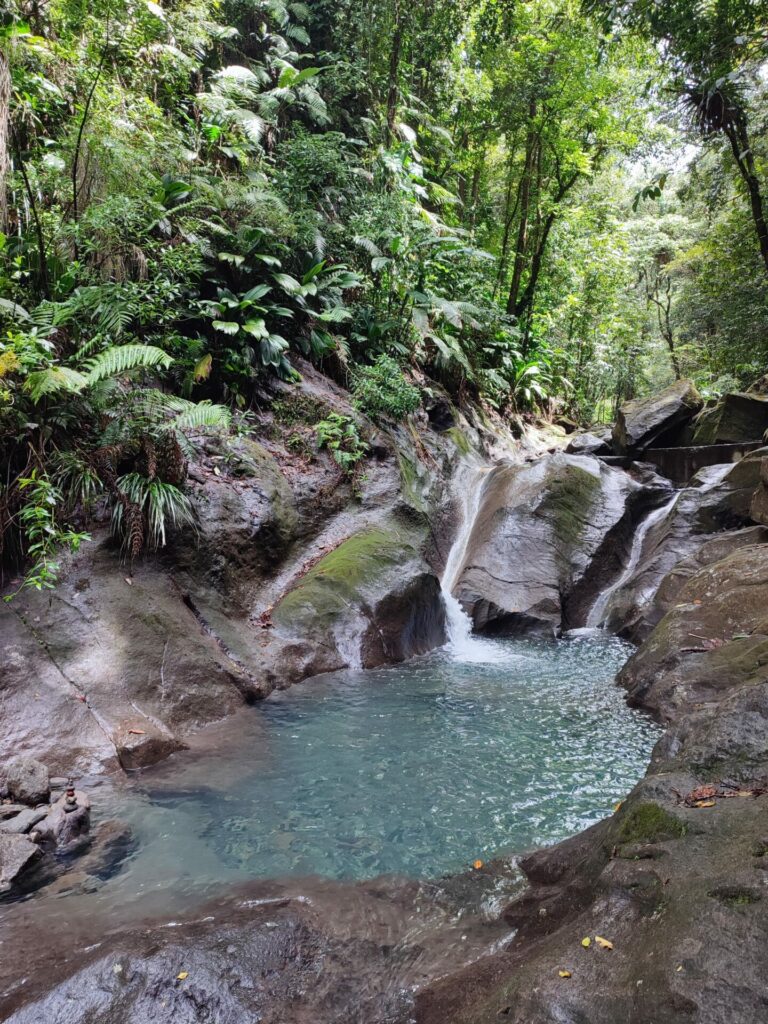cascades bassins étangs Guadeloupe